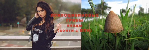 круглые Гусь-Хрустальный