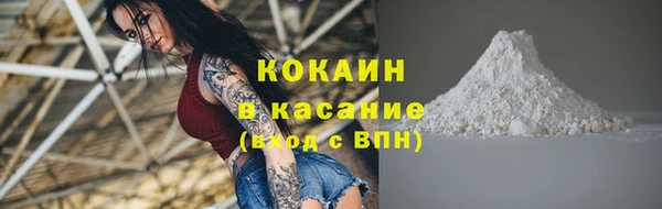 винт Гусев