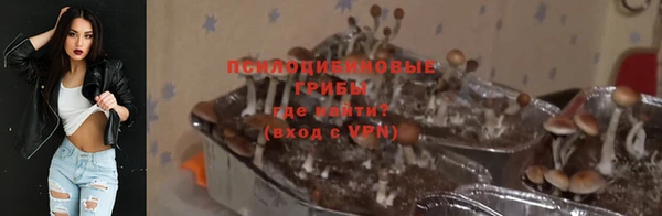 круглые Гусь-Хрустальный