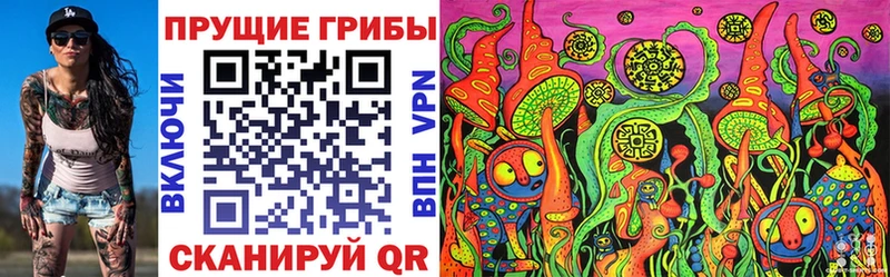 как найти закладки Петровск-Забайкальский Галлюциногенные грибы GOLDEN TEACHER