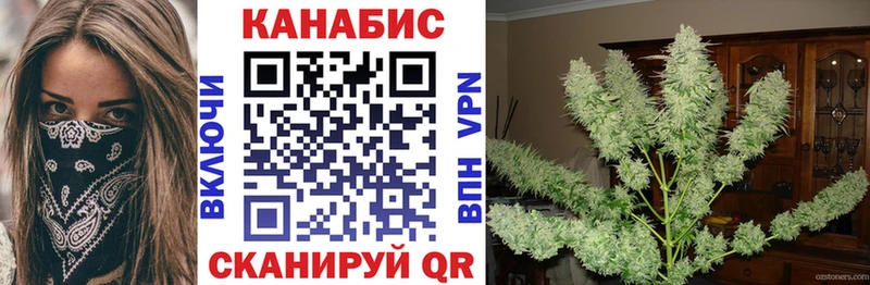 Шишки марихуана SATIVA & INDICA  МЕГА как зайти  Петровск-Забайкальский  сколько стоит 